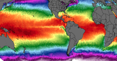 La temperatura global de los océanos debería haber caído con el fin de El Niño. En su lugar estamos viendo algo preocupante