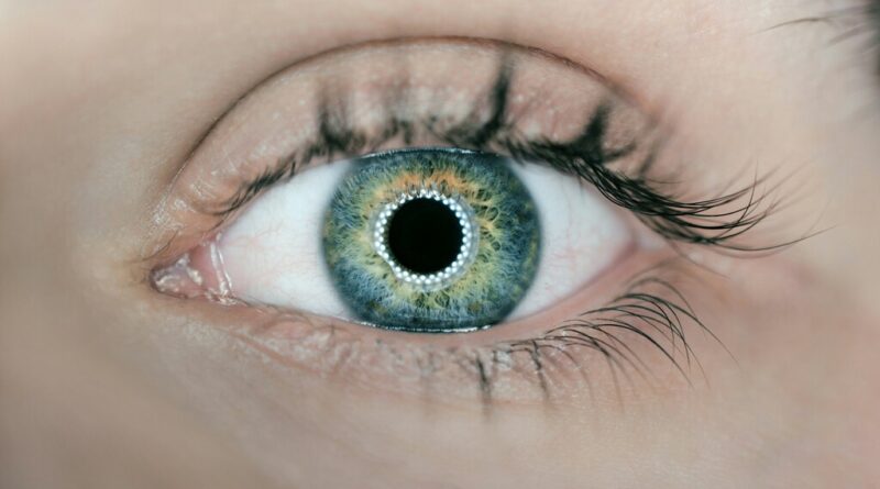 Las neuroprótesis oculares están un poco más cerca. Una de las principales apuestas: paneles solares en los ojos