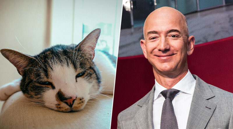 Jeff Bezos es un maestro de la productividad. Lo que no sabíamos era el secreto de su rutina matutina: remolonear